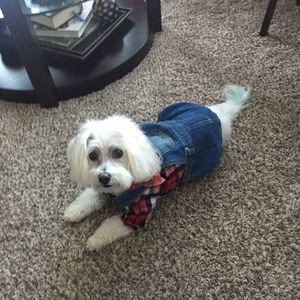 Meet your Posher, Sandy